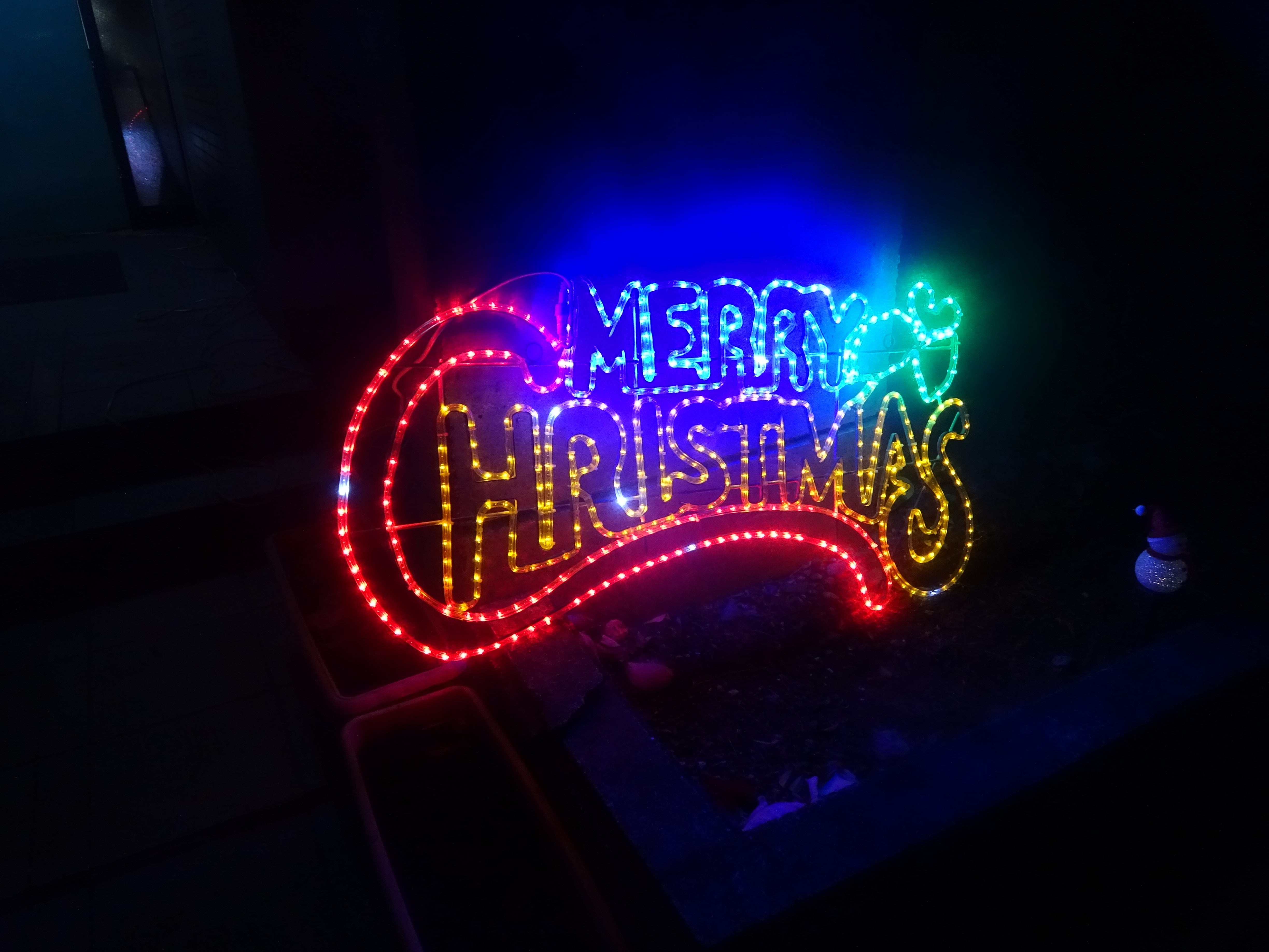 恒例イルミネーション！